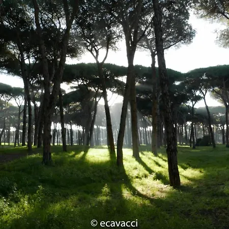 Appartement Fuetta's